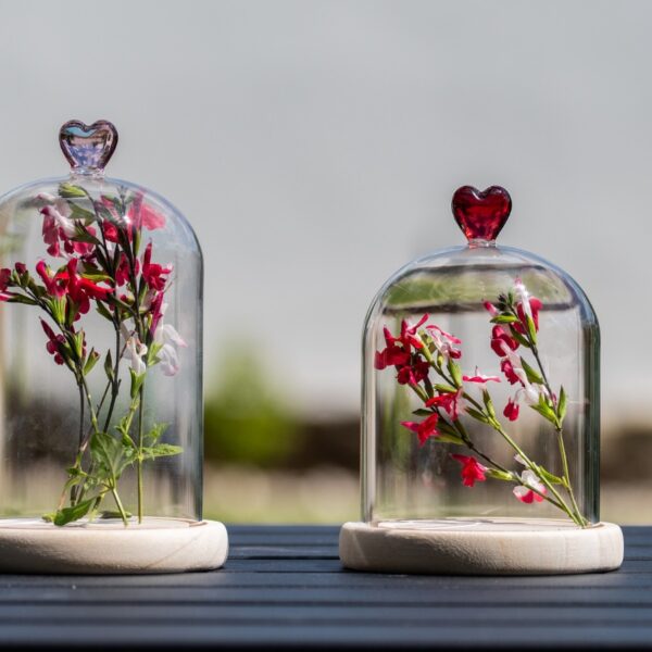 WhatsApp Image 2025-12-03 à 10.06.30_20f26c2a