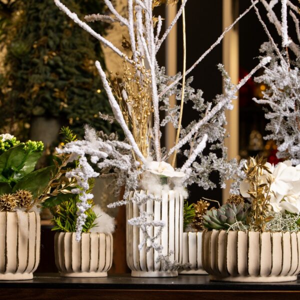 WhatsApp Image 2025-12-03 à 10.06.30_4b38bee4